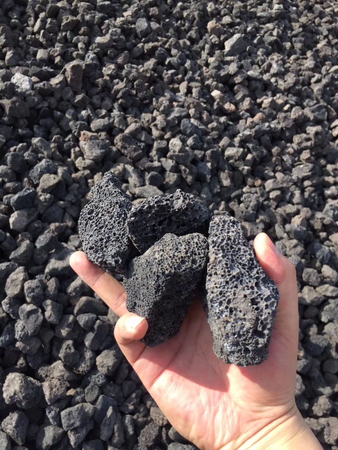 火山巖_高效掛膜輕質濾料廠家最新報價