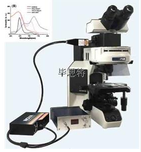 顯微分光光度計顯微光譜系統顯微分光光度計顯微紅外光譜儀、