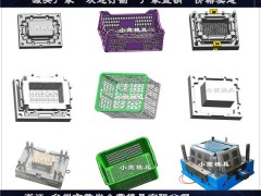 注射模具塑膠PE冷藏箱模具生產廠家