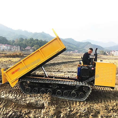 重型4T履帶運(yùn)輸車 可以涉水的履帶搬運(yùn)車 履帶爬山虎