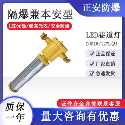 正安防爆隔爆兼本安型LED巷道燈DJS18/127L(A)