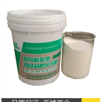 河北辰馳CC-160 室內(nèi)膨脹型鋼結(jié)構(gòu)防火涂料生產(chǎn)廠家